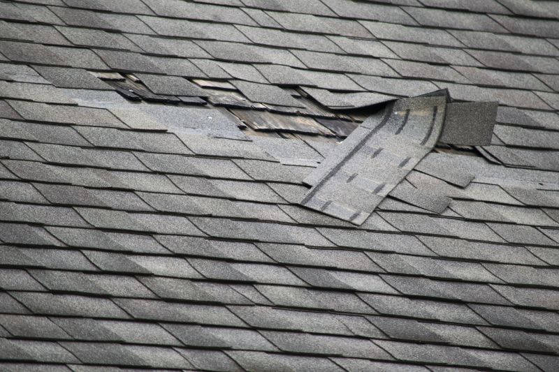 Causes Of Asphalt Shingle Damage And When Repair Is Enough
