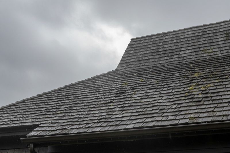 Cedar Shingles Replacement detail